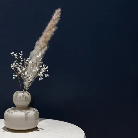 Arctic Juniper *
